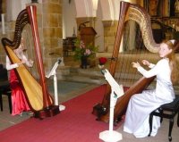 Orgel Plus-Konzert: Engelhafte Harfenklänge